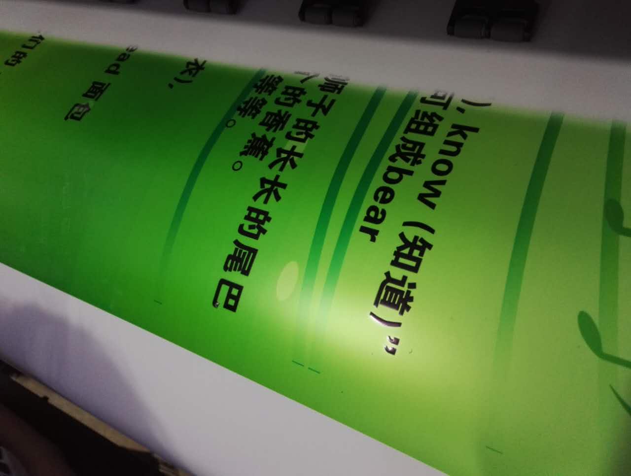 寫真機